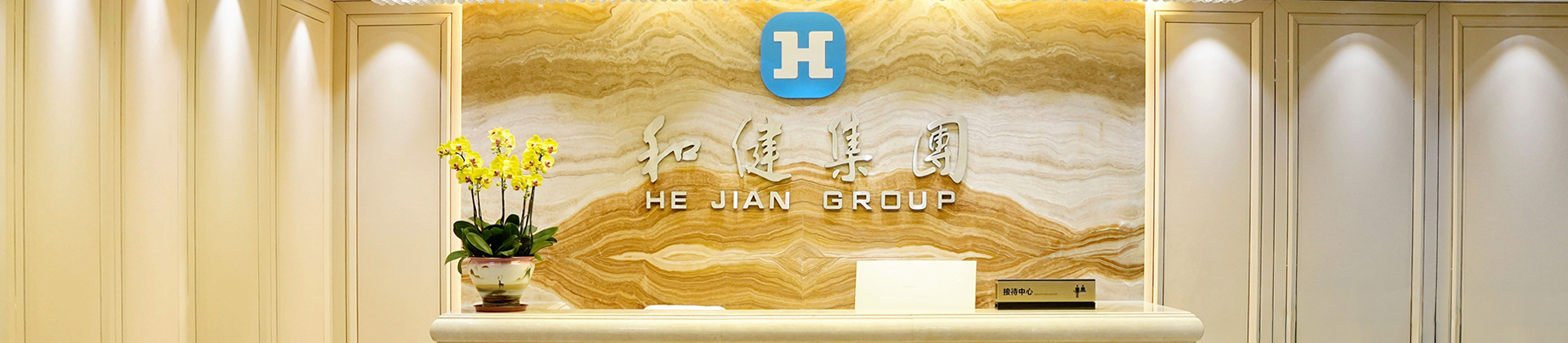 ��ϵ����